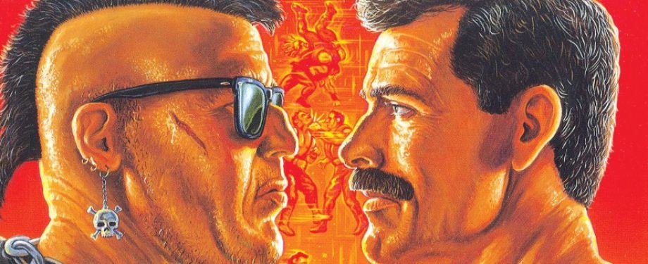 Illustration de l'article Final Fight: c'est la lutte finale