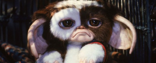 Illustration de l'article Gremlins 2: Gizmo is (not) about to make you his batch