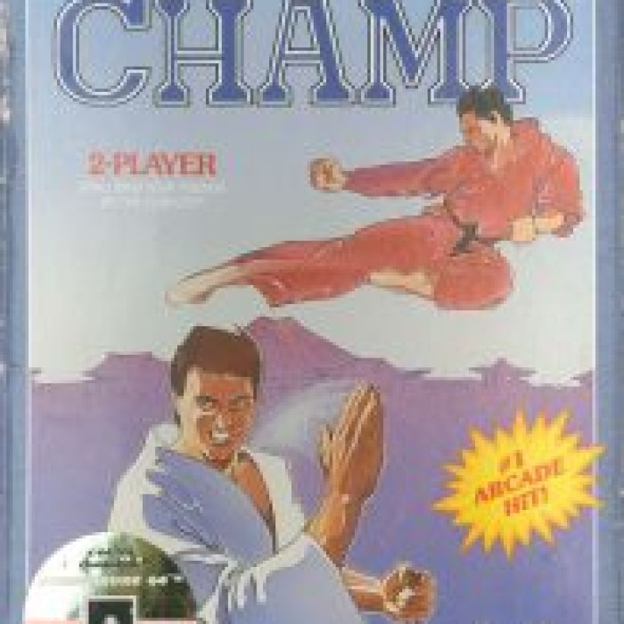 Karate Champ
