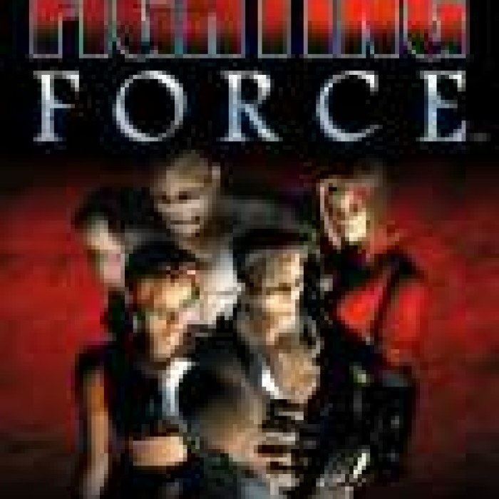 Fighting Force