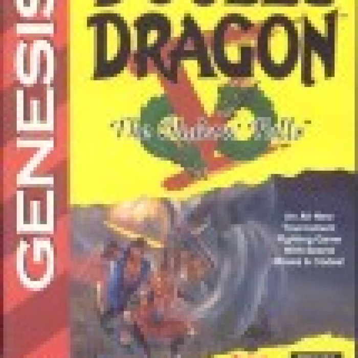 Double Dragon V: The Shadow Falls