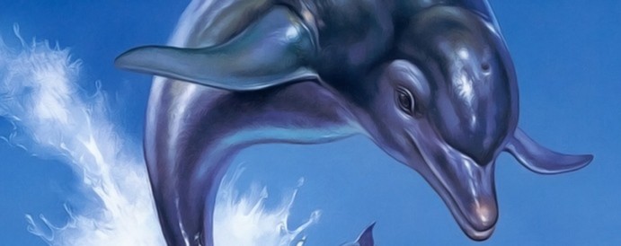 Ecco the Dolphin