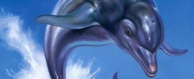 Ecco the Dolphin