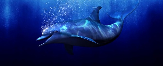 Ecco the Dolphin: Defender of the Future