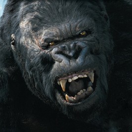 Illustration de l'article King Kong: donc, qu'est Kong?